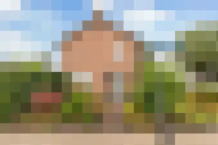 Clematisstraat 4 Wezep thumbnail 4