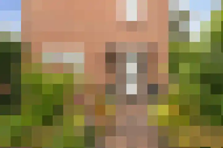 Clematisstraat 4 Wezep thumbnail 5