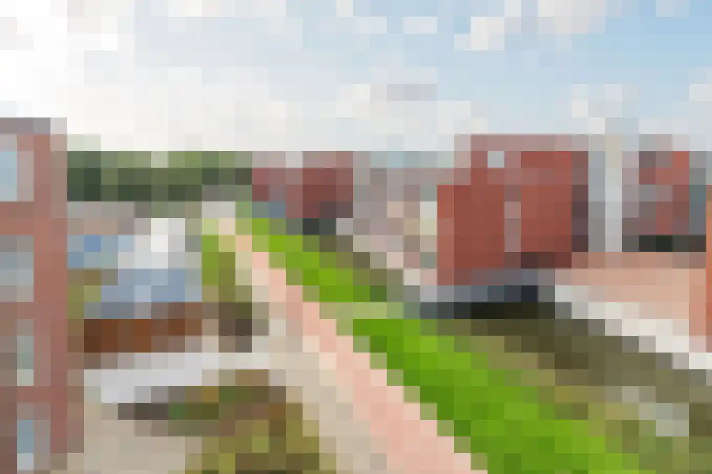 Clematisstraat 41 Aalsmeer thumbnail 4