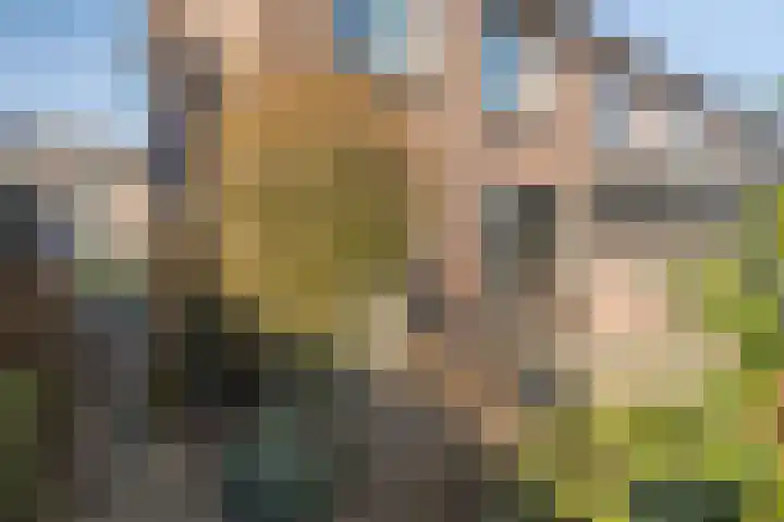 Clematisstraat 56 Denekamp thumbnail 19