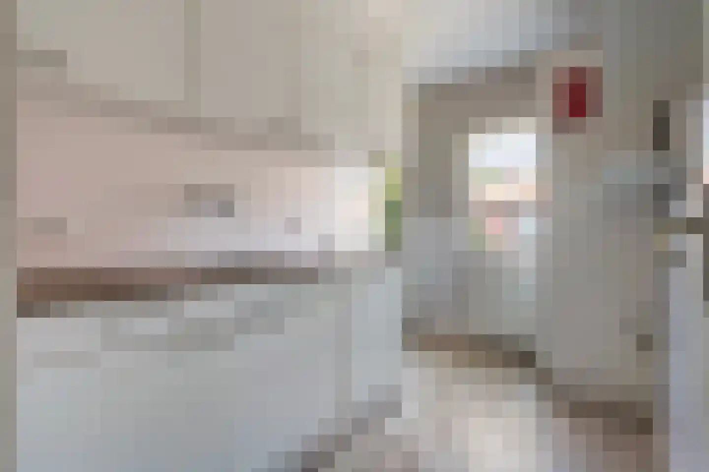 Clematisstraat 67 Almelo thumbnail 20