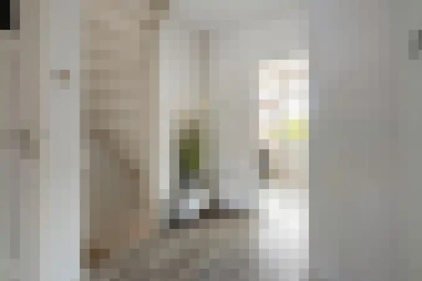 Clematisstraat 67 Almelo thumbnail 7
