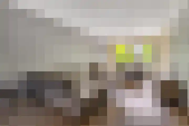 Clematisstraat 7 Breda thumbnail 11
