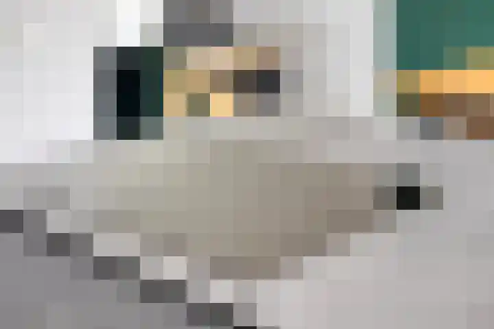Clematisstraat 74 Denekamp thumbnail 7