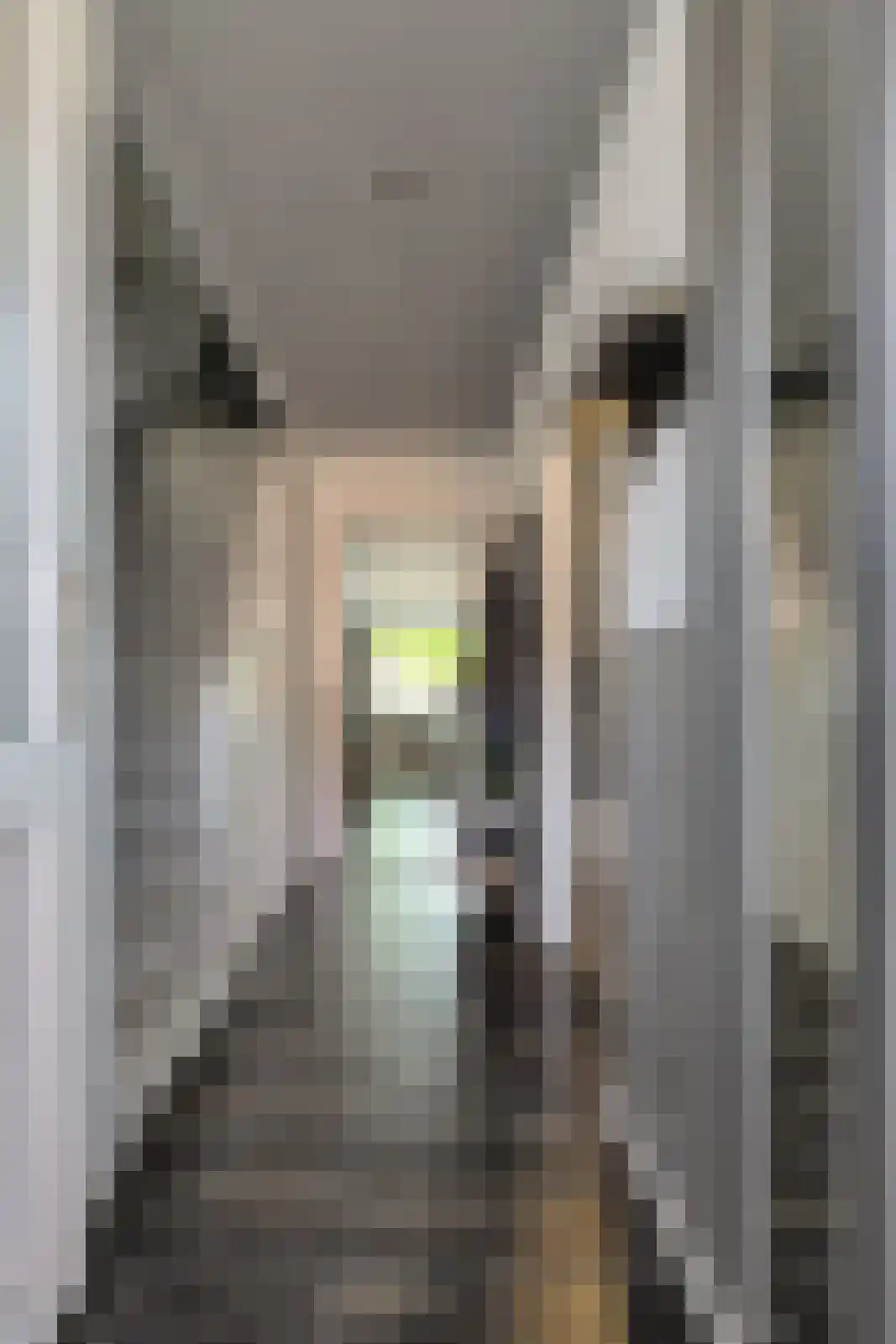 Clematisstraat 87 Breda thumbnail 17