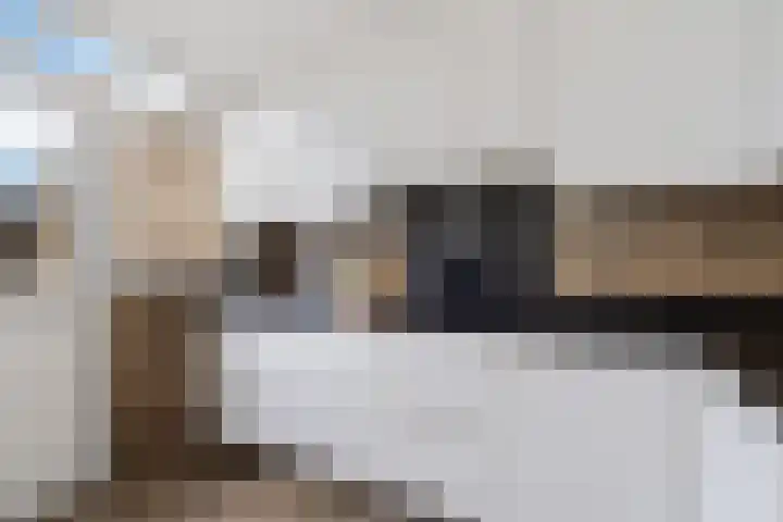 Clematisweg 15 Zwolle thumbnail 10