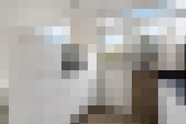 Clematisweg 15 Zwolle thumbnail 11