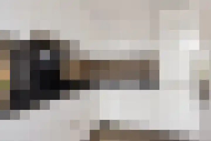 Clematisweg 15 Zwolle thumbnail 12