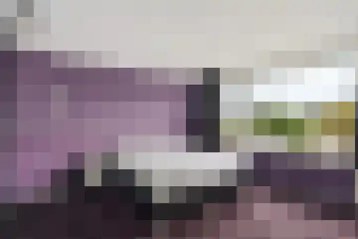 Clematisweg 15 Zwolle thumbnail 16