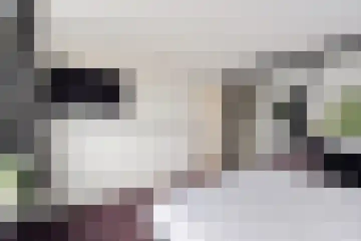 Clematisweg 15 Zwolle thumbnail 17