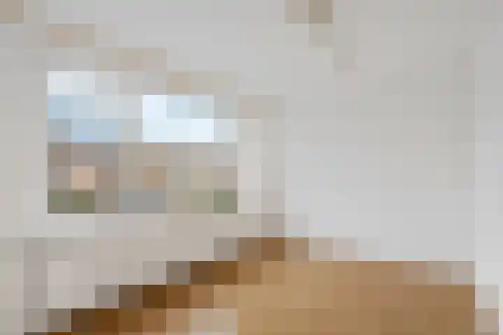 Clematisweg 15 Zwolle thumbnail 18