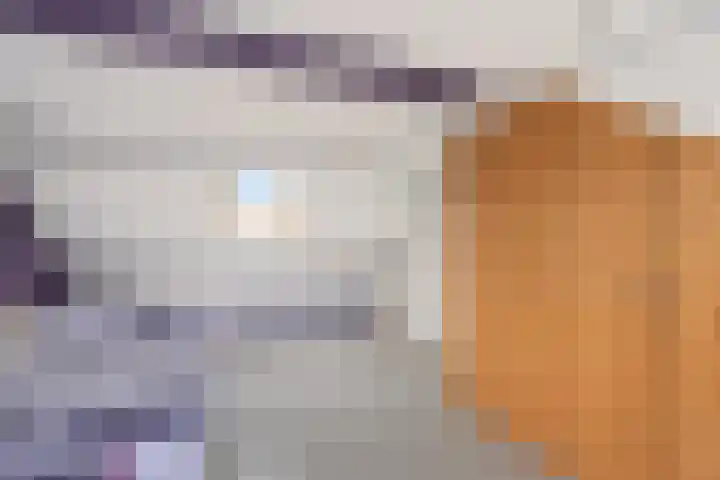 Clematisweg 15 Zwolle thumbnail 27