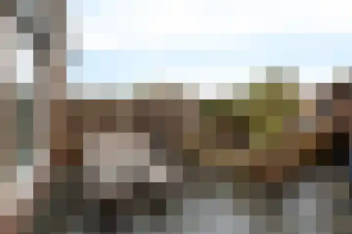 Clematisweg 15 Zwolle thumbnail 28