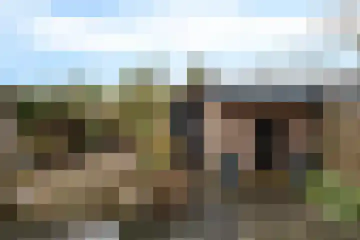 Clematisweg 15 Zwolle thumbnail 29