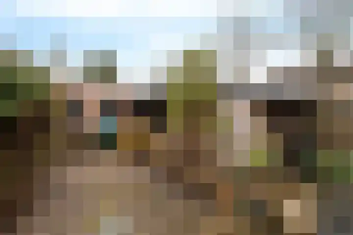 Clematisweg 15 Zwolle thumbnail 30
