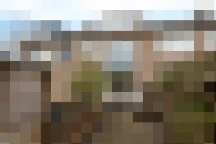 Clematisweg 15 Zwolle thumbnail 32