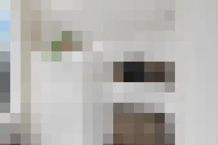 Clematisweg 15 Zwolle thumbnail 9