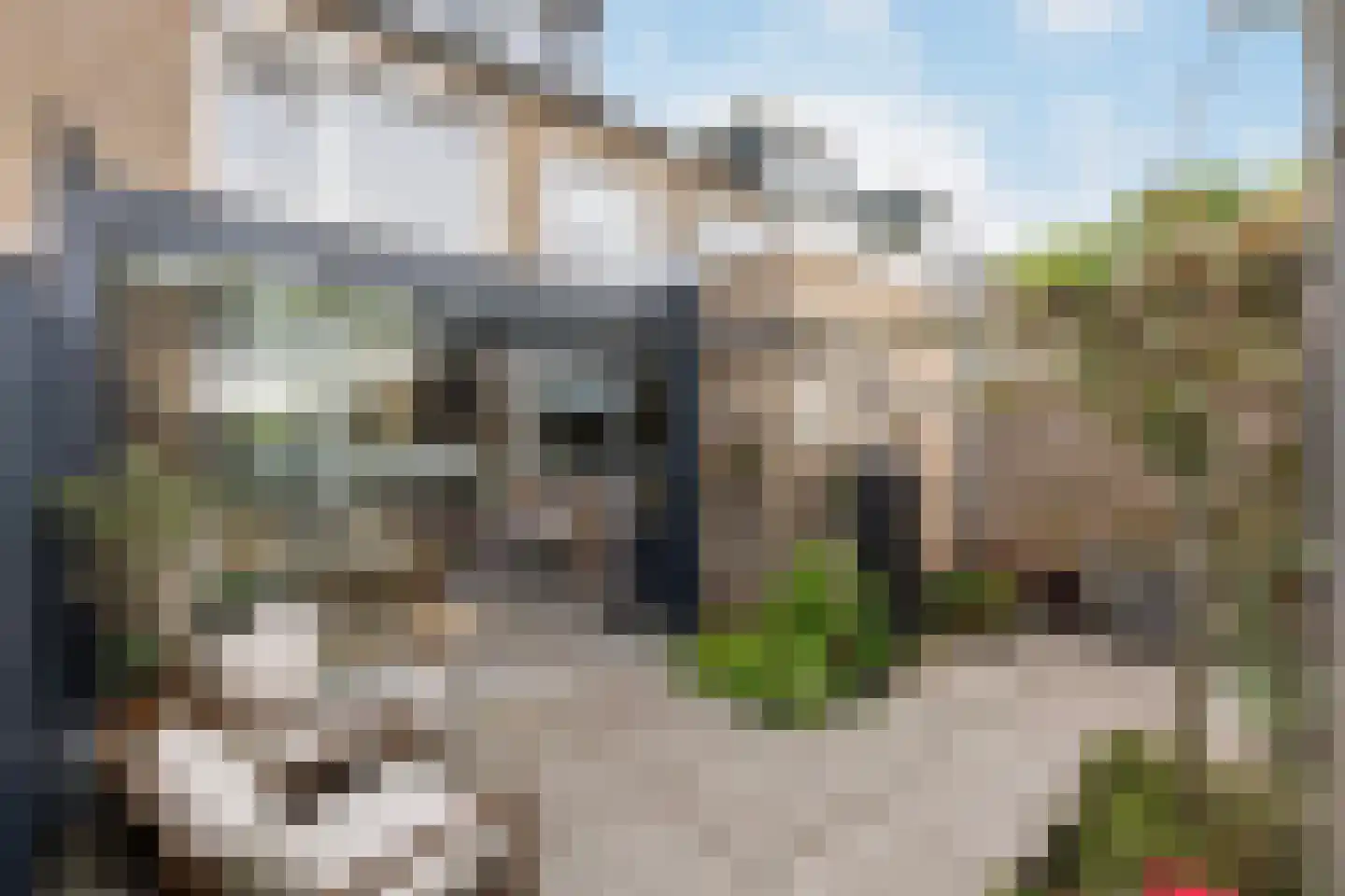 Clematisweg 6 Zwolle thumbnail 10