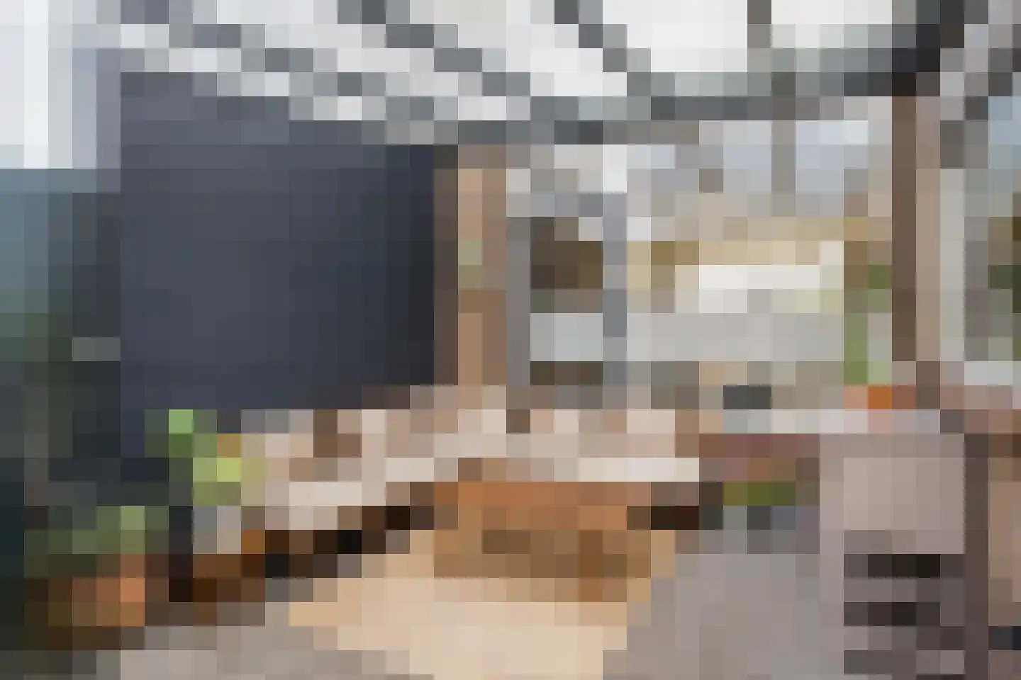 Clematisweg 6 Zwolle thumbnail 11