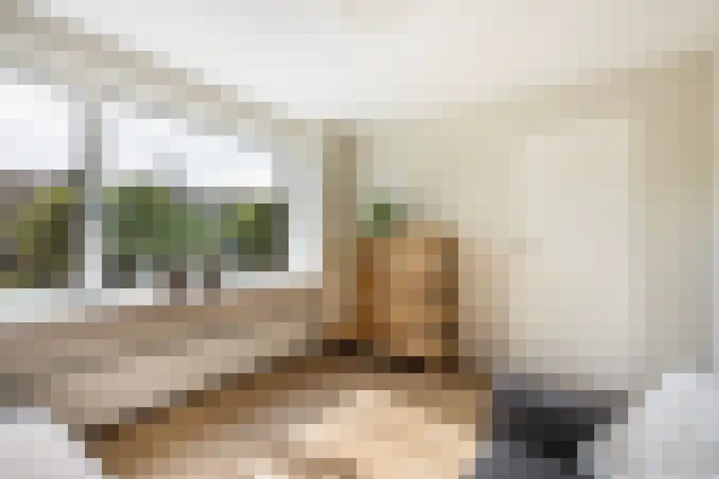 Clematisweg 6 Zwolle thumbnail 18