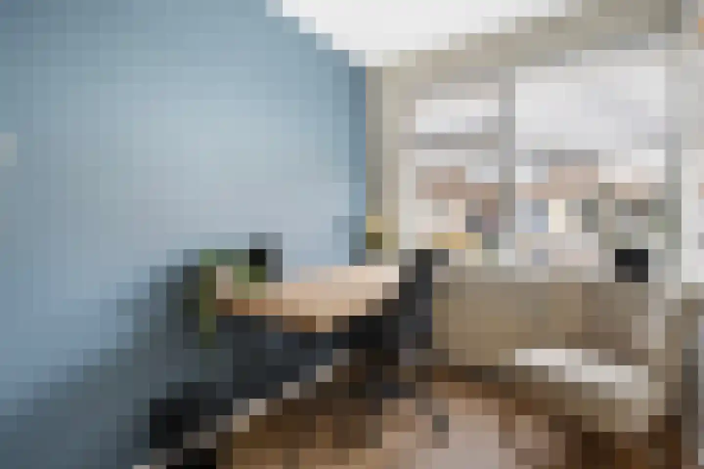Clematisweg 6 Zwolle thumbnail 19