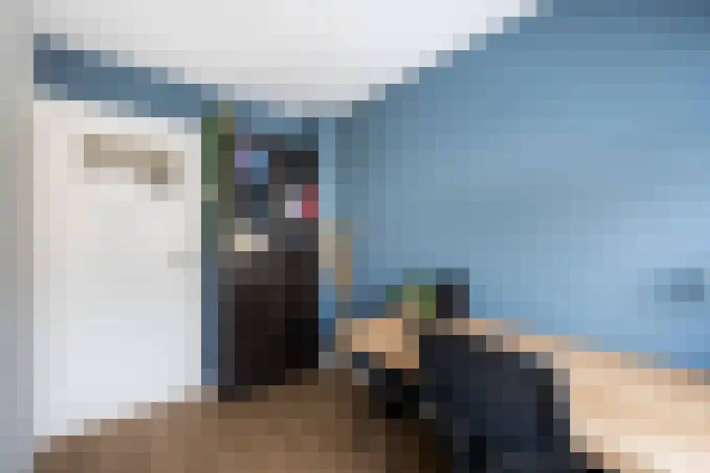 Clematisweg 6 Zwolle thumbnail 20