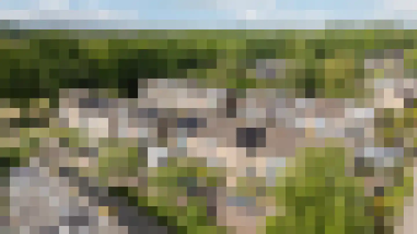 Clematisweg 6 Zwolle thumbnail 28