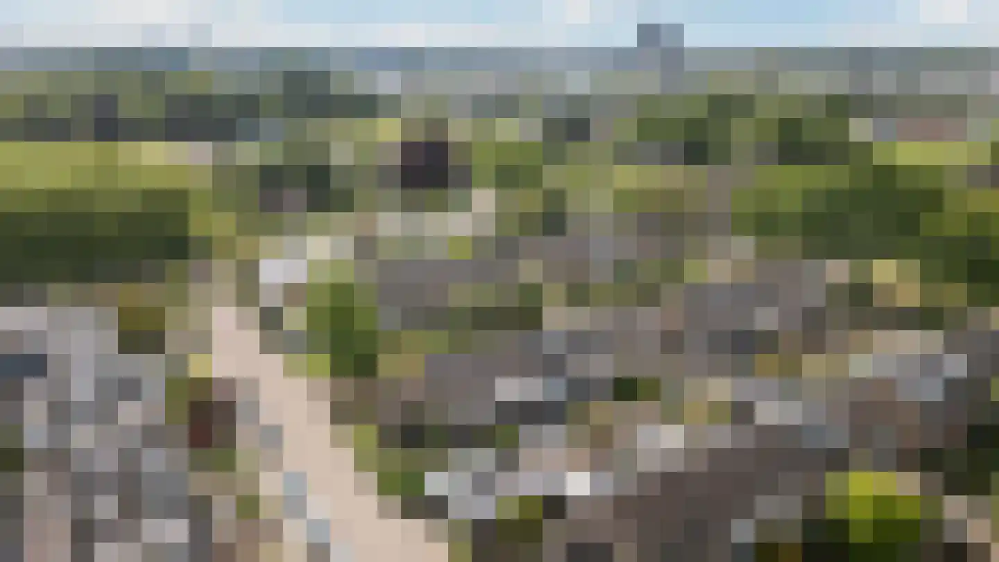 Clematisweg 6 Zwolle thumbnail 29