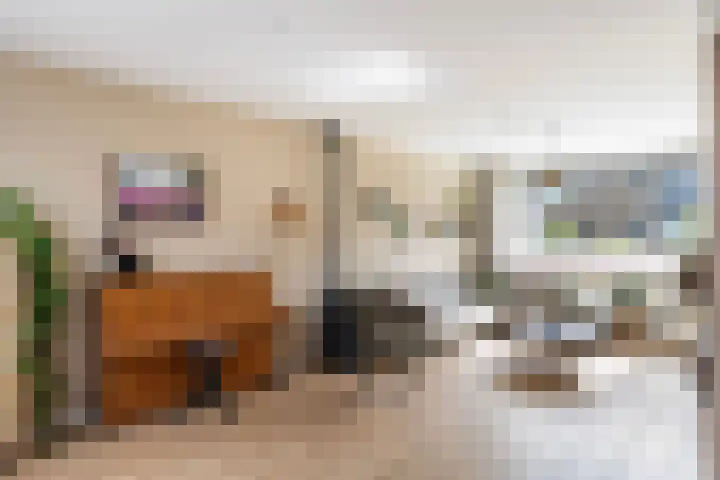 Clematisweg 6 Zwolle thumbnail 6