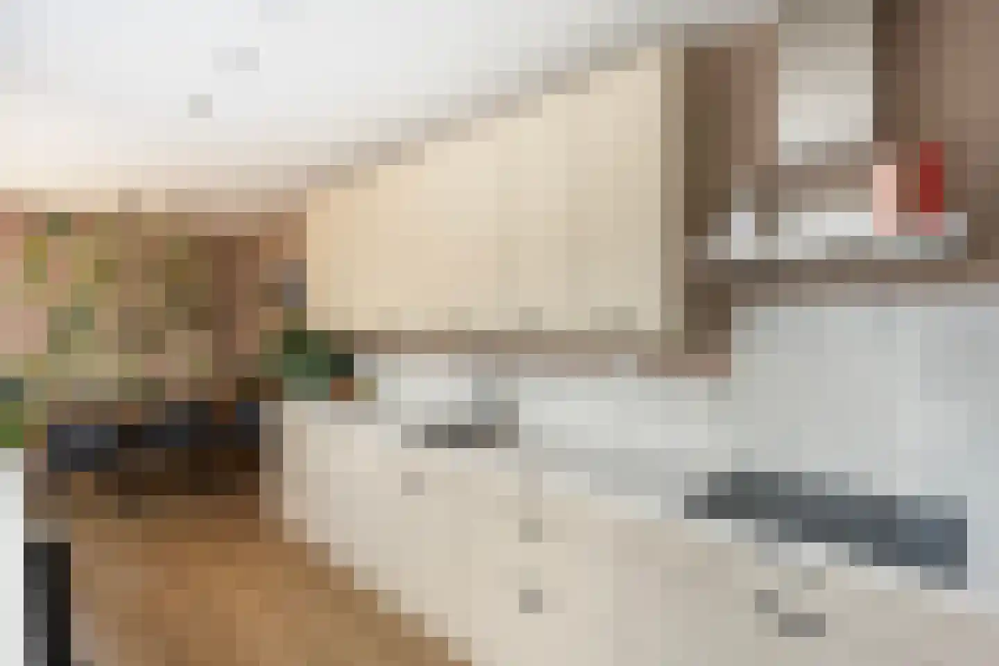 Clematisweg 6 Zwolle thumbnail 8