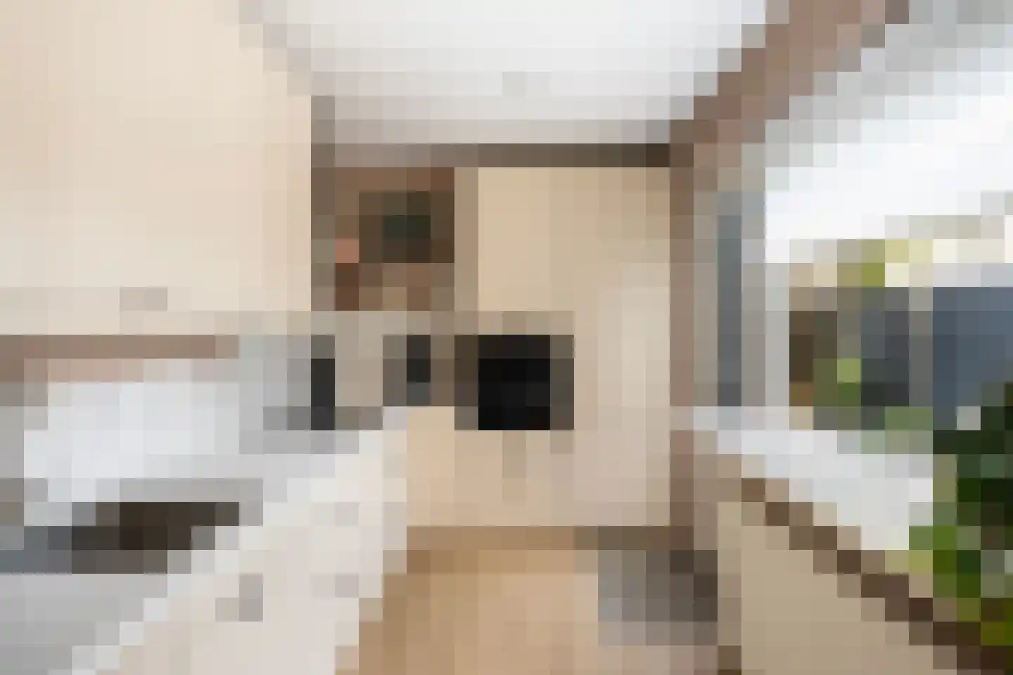 Clematisweg 6 Zwolle thumbnail 9