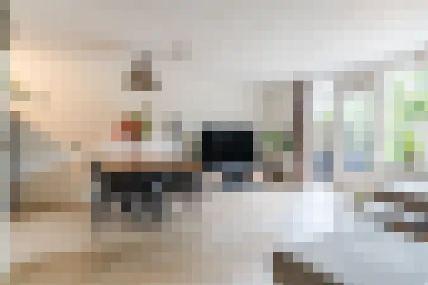 Clemens van den Bergstraat 16 Heeswijk-Dinther thumbnail 12