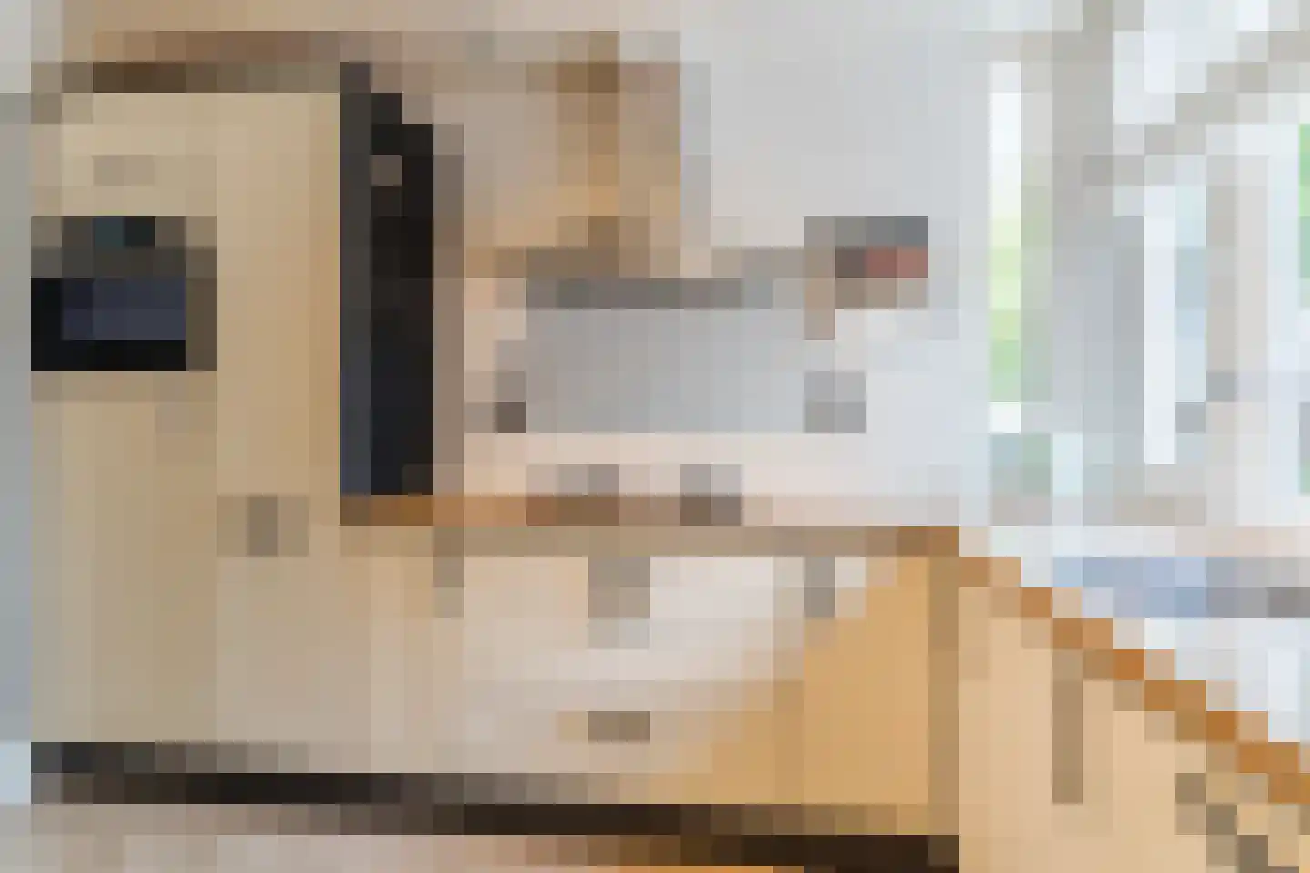 Clemens van den Bergstraat 16 Heeswijk-Dinther thumbnail 13
