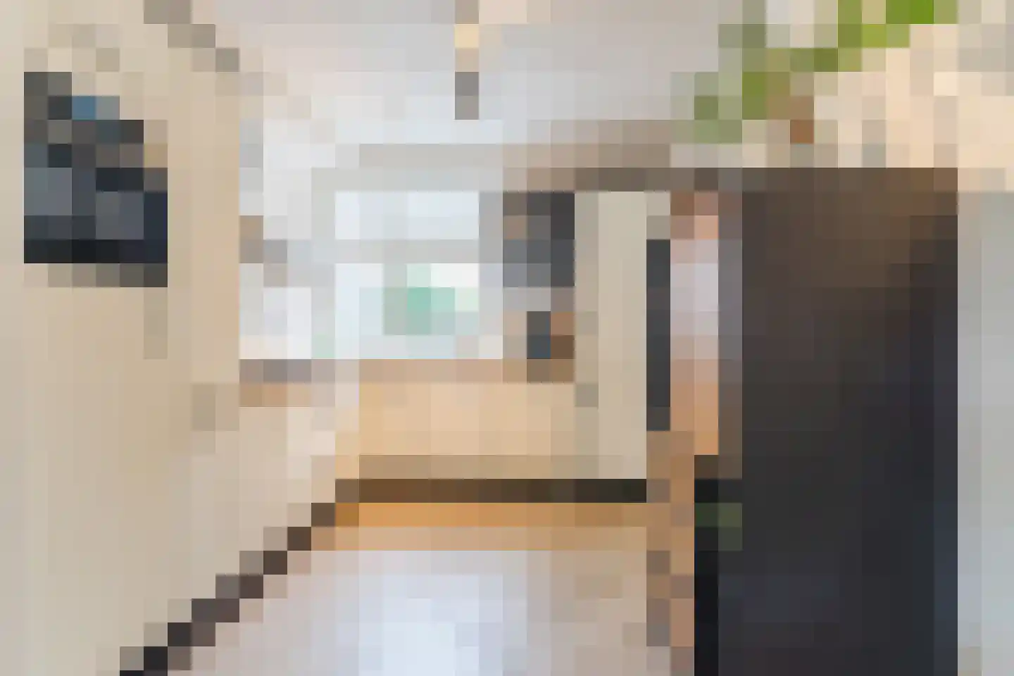 Clemens van den Bergstraat 16 Heeswijk-Dinther thumbnail 15