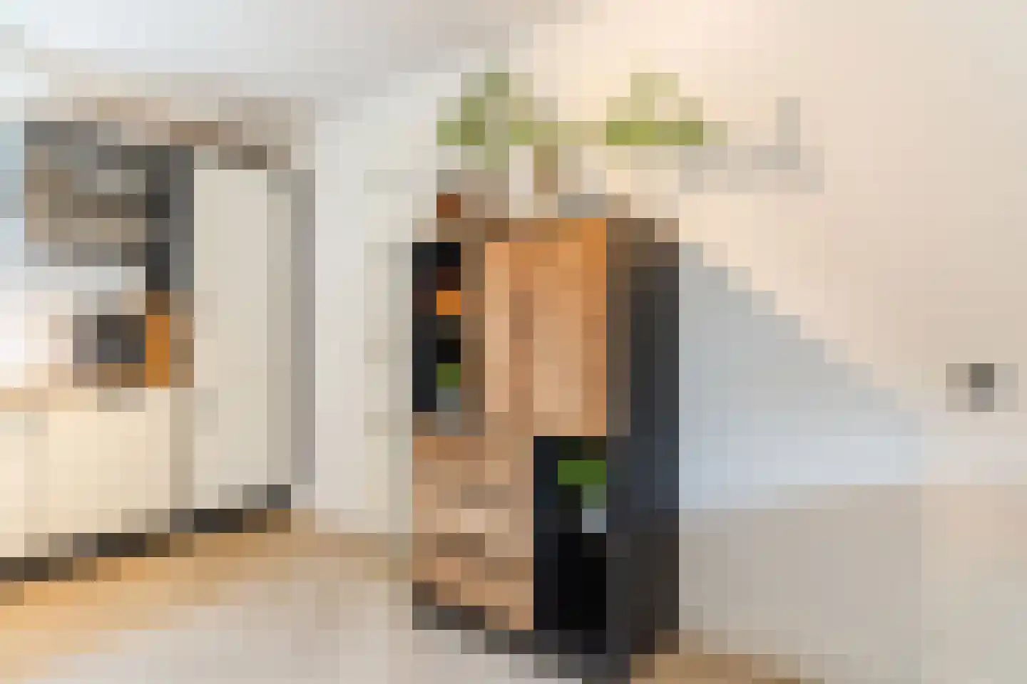 Clemens van den Bergstraat 16 Heeswijk-Dinther thumbnail 16