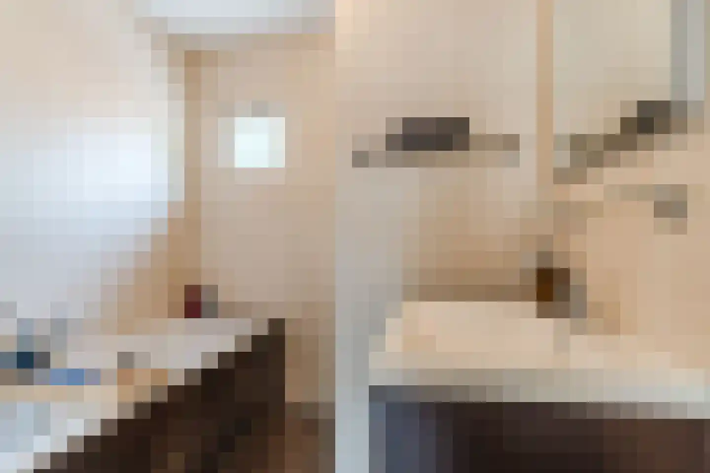 Clemens van den Bergstraat 16 Heeswijk-Dinther thumbnail 23