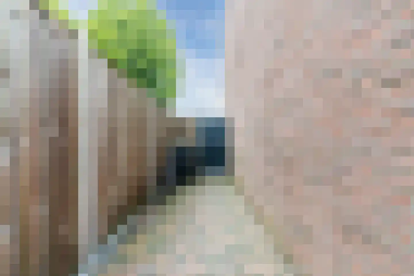 Clemens van den Bergstraat 16 Heeswijk-Dinther thumbnail 36