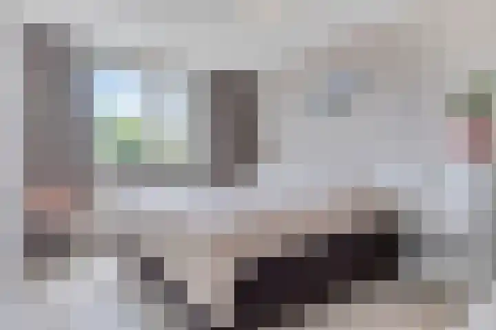 Clemens van den Bergstraat 18 Heeswijk-Dinther thumbnail 15