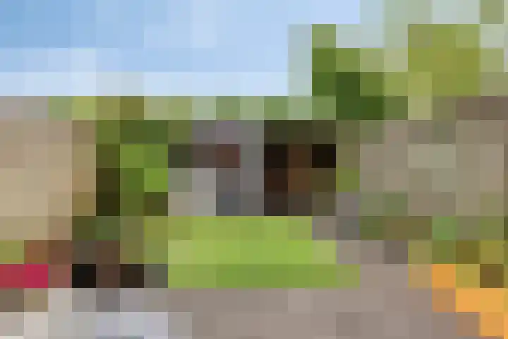 Clemens van den Bergstraat 18 Heeswijk-Dinther thumbnail 28