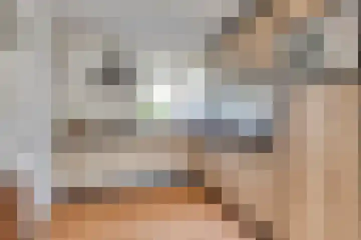 Clemens van den Bergstraat 18 Heeswijk-Dinther foto 3
