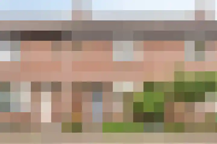 Clemens van den Bergstraat 18 Heeswijk-Dinther thumbnail 31