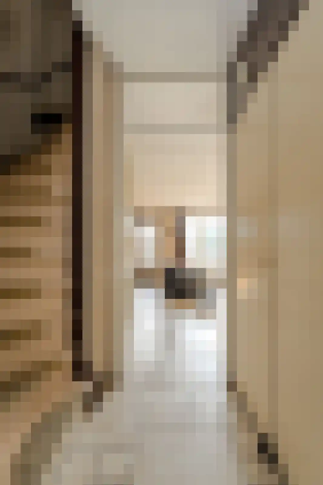 Clemensberg 10 Breda thumbnail 20
