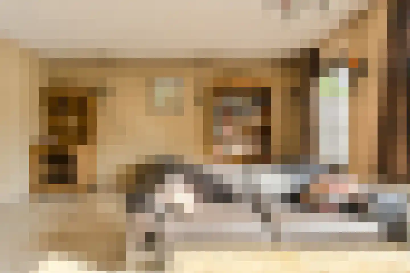 Clemensberg 10 Breda thumbnail 7