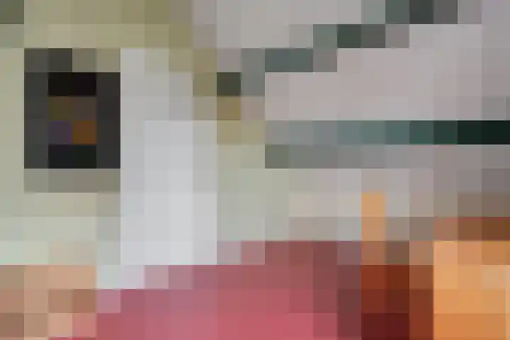 Clemenswerth 10 Norg thumbnail 34