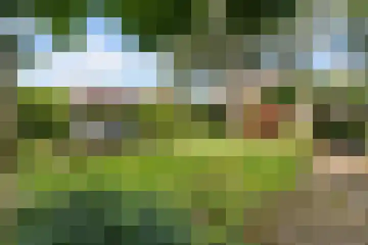 Clemenswerth 10 Norg thumbnail 40