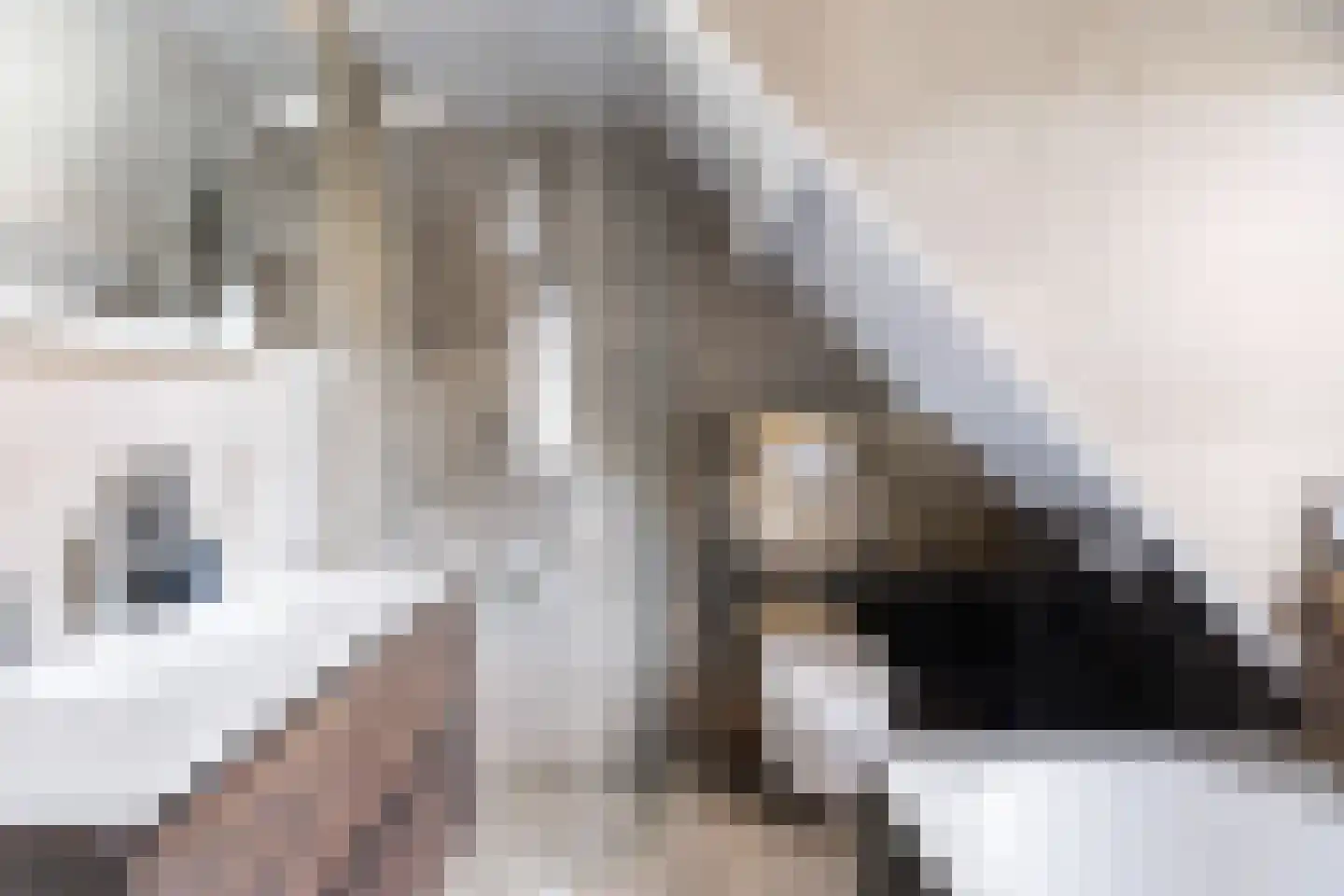 Clemenswerth 24 Norg thumbnail 27