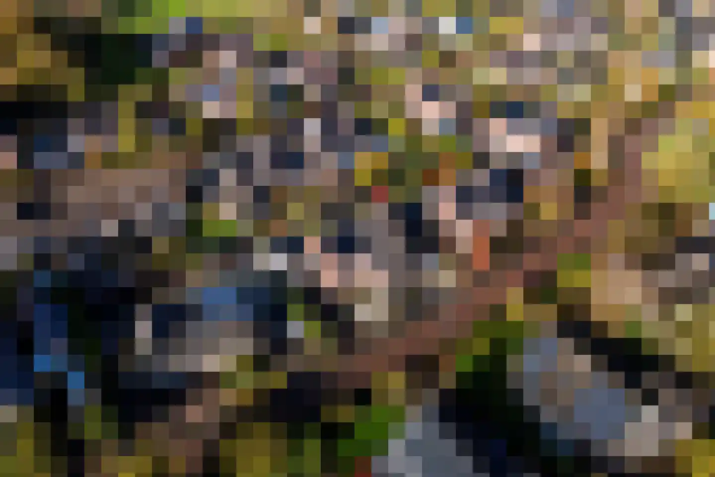 Clemenswerth 24 Norg thumbnail 5