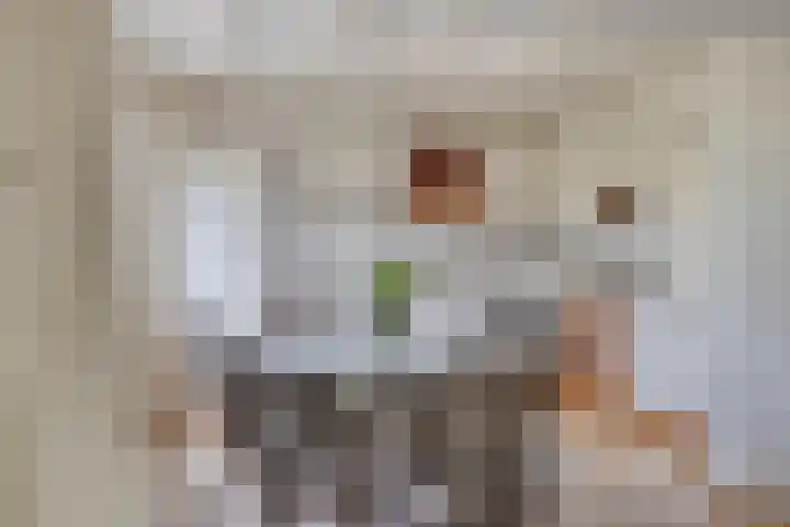 Clementinalaan 11 Veldhoven thumbnail 10