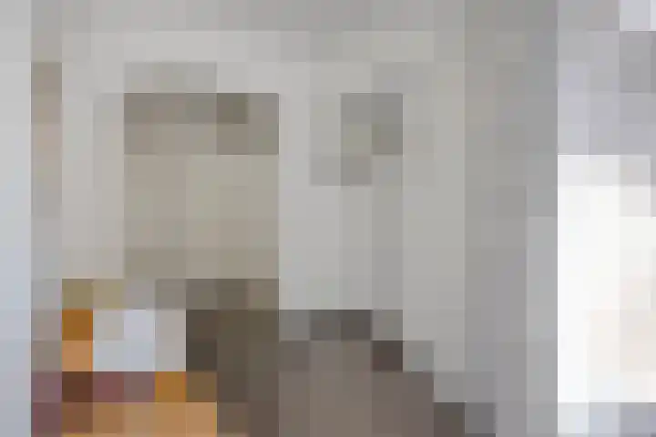 Clementinalaan 11 Veldhoven thumbnail 12