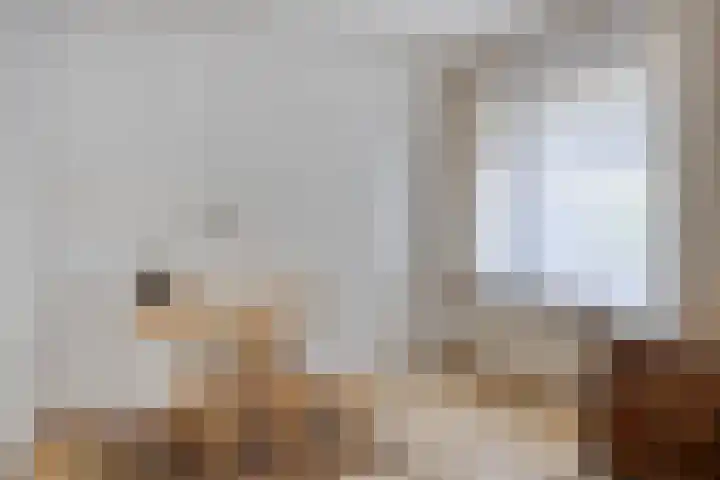 Clementinalaan 11 Veldhoven thumbnail 19